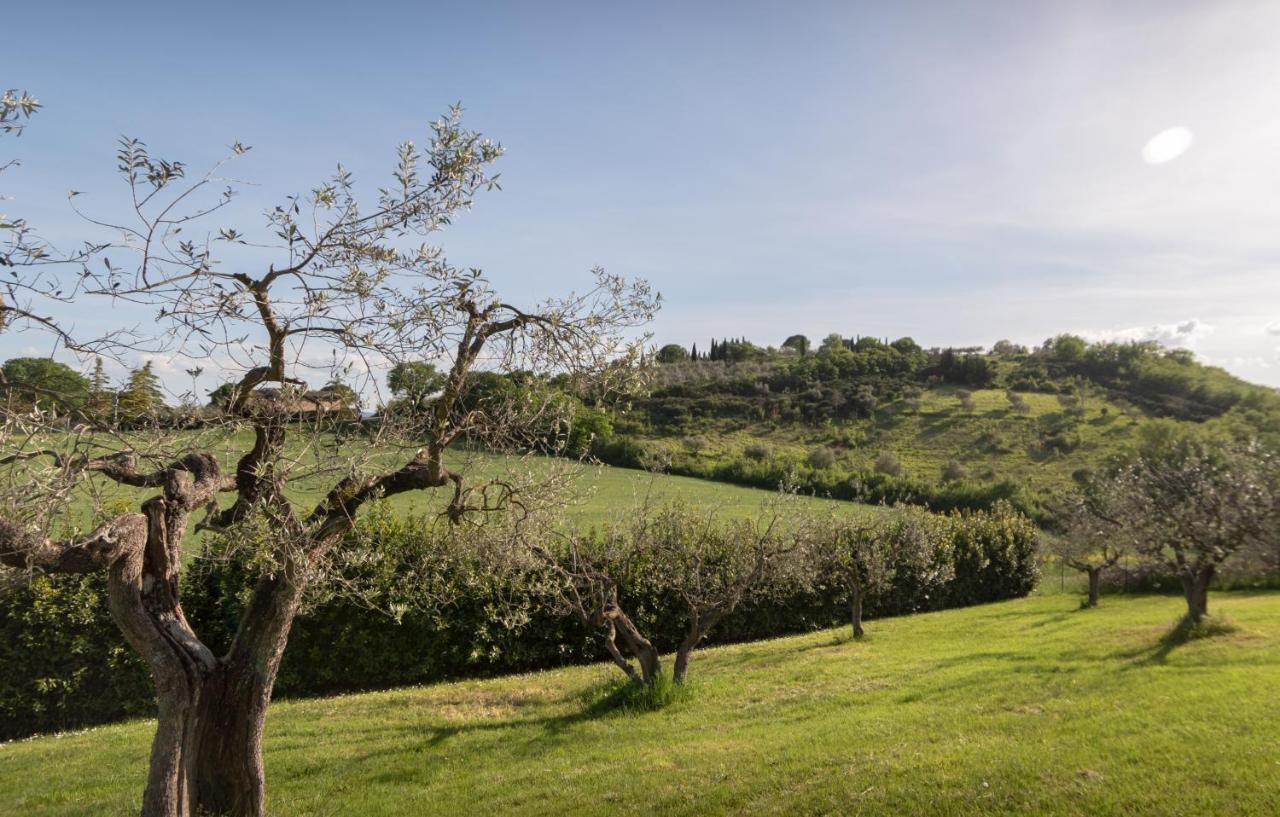 Residenza Il Falchetto Assisi Exteriér fotografie