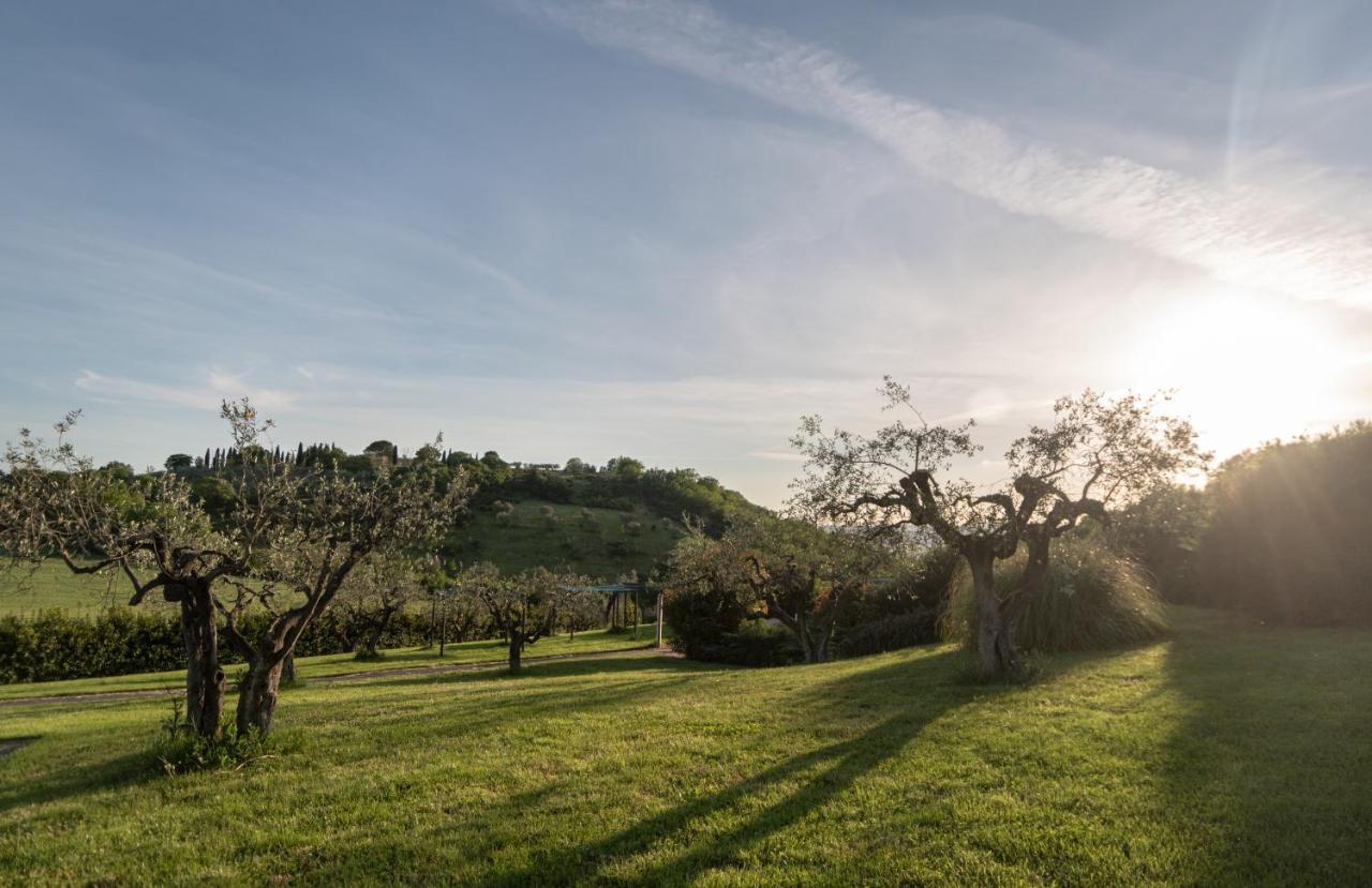 Residenza Il Falchetto Assisi Exteriér fotografie