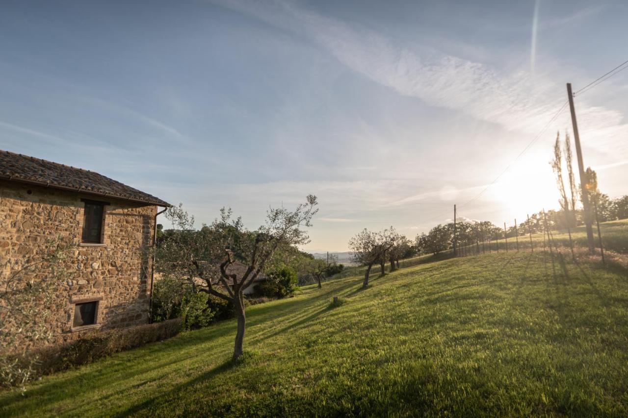 Residenza Il Falchetto Assisi Exteriér fotografie
