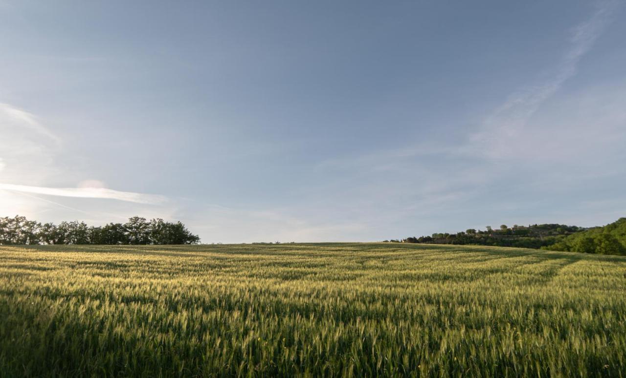 Residenza Il Falchetto Assisi Exteriér fotografie
