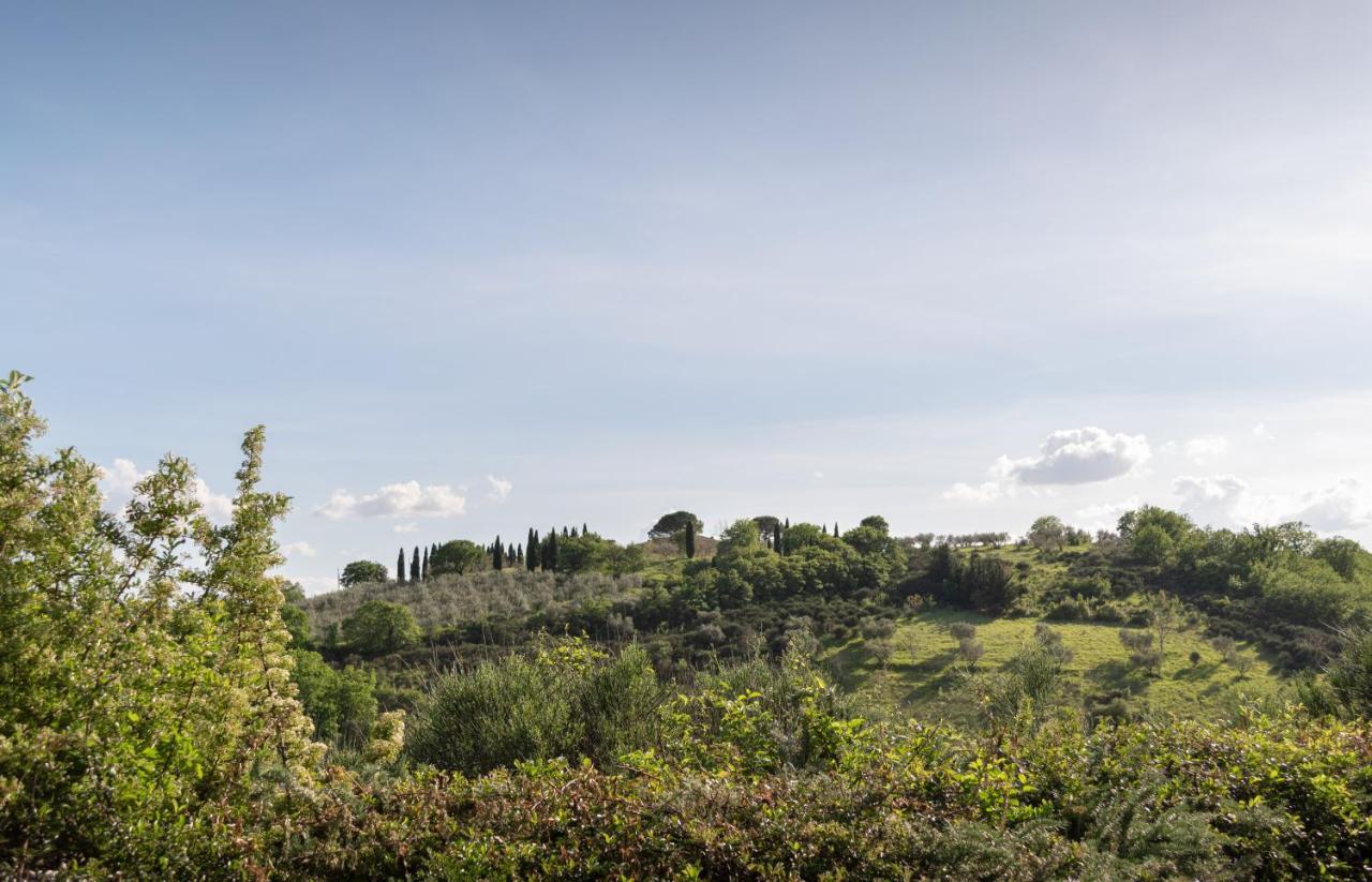 Residenza Il Falchetto Assisi Exteriér fotografie
