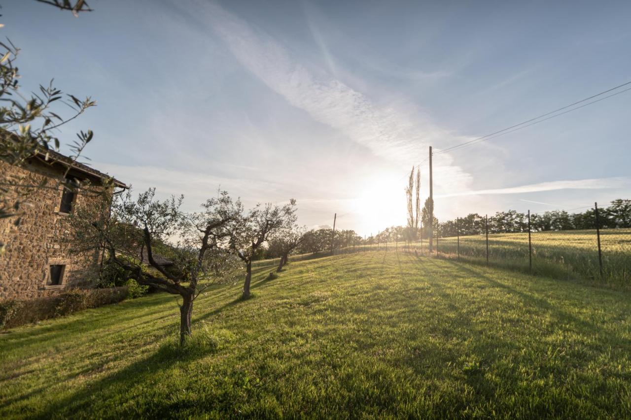 Residenza Il Falchetto Assisi Exteriér fotografie